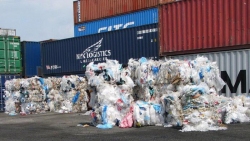 danh mục phe lieu nhap khau 150250