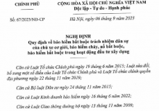 nghị định 67