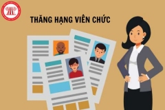 Tiêu chuẩn, điều kiện xét thăng hạng viên chức