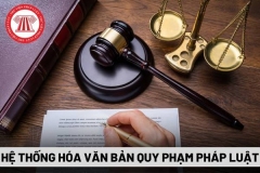 Chính phủ ban hành Nghị định quy định về kiểm tra, rà soát, hệ thống hóa và xử lý văn bản quy phạm pháp luật