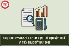 Gia hạn thời hạn nộp thuế và tiền thuê đất trong năm 2025