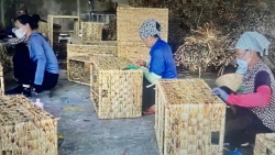 Sẽ mở rộng diện hỗ trợ pháp lý tới các hộ kinh doanh