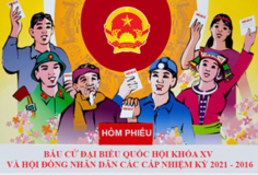 Screenshot 2026 02 11 142327