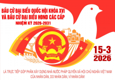 Screenshot 2026 02 23 161018