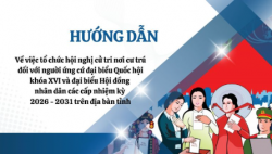 Screenshot 2026 02 24 161246