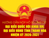 Screenshot 2026 02 25 102956