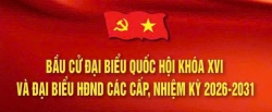 Tình hình, kết quả triển khai về cơ sở vật chất phục vụ bầu cử từ ngày 28/02/2026 đến ngày 06/3/2026