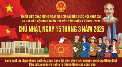Bầu cử bổ sung đại biểu quốc hội, đại biểu hội đồng nhân dân