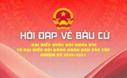 Screenshot 2026 03 03 180058