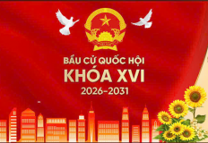 Screenshot 2026 03 05 082932