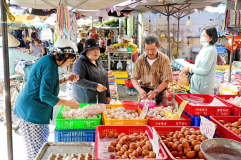 Chuyển đổi mô hình quản lý, kinh doanh, khai thác chợ trên địa bàn tỉnh Thái Nguyên