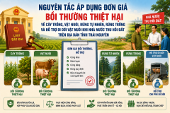 Nguyên tắc áp dụng đơn giá bồi thường thiệt hại về cây trồng, vật nuôi, rừng tự nhiên, rừng trồng và hỗ trợ di dời vật nuôi khi Nhà nước thu hồi đất trên địa bàn tỉnh Thái Nguyên