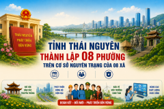thành lập 8 phường