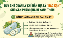 Quy chế quản lý chỉ dẫn địa lý “Bắc Kạn” cho sản phẩm quả bí xanh thơm của tỉnh Thái Nguyên