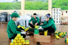 Quy định chính sách hỗ trợ kinh phí thành lập mới hợp tác xã,  liên hiệp hợp tác xã trên địa bàn tỉnh Thái Nguyên giai đoạn 2021 - 2025