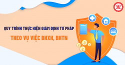Quy định về giám định tư pháp theo vụ việc trong lĩnh vực bảo hiểm xã hội, bảo hiểm thất nghiệp