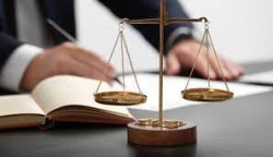 thể chế chính sách